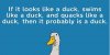 upload_2025-5-18_17-24-9.jpeg