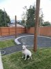 IMG_8023.jpeg