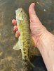 IMG_9180.jpeg