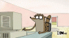 IMG_3327.gif