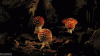 upload_2025-6-13_23-50-31.gif