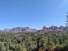 PXL_20250622_155738952.jpg