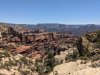 PXL_20250627_184507399.jpg