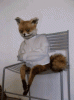 50BC7EED-ABB3-4771-9474-5E8F9E6F27ED.gif