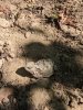 PXL_20250628_161722418.jpg
