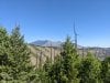 PXL_20250628_160227309.jpg