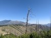 PXL_20250628_163216187.jpg