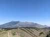 PXL_20250628_162953537.jpg
