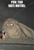 IMG_8868.jpeg