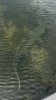 IMG_4761.jpeg