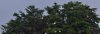 upload_2025-7-1_20-50-10.jpeg