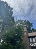 IMG_3172.jpeg
