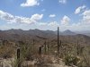PXL_20250704_165122634.jpg