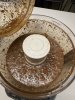 IMG_8915.jpeg
