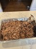 IMG_0972.jpeg
