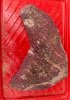 IMG_7056.jpeg