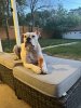 IMG_3427.jpeg