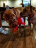 IMG_20191224_205217_exported_1113_1577318002610-01.jpeg