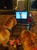 FB_IMG_1577321236820.jpg