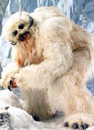 TheWampa