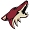 Arizona Coyotes