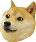 :doge: